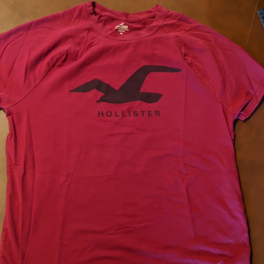 Mens Hollister t-shirt